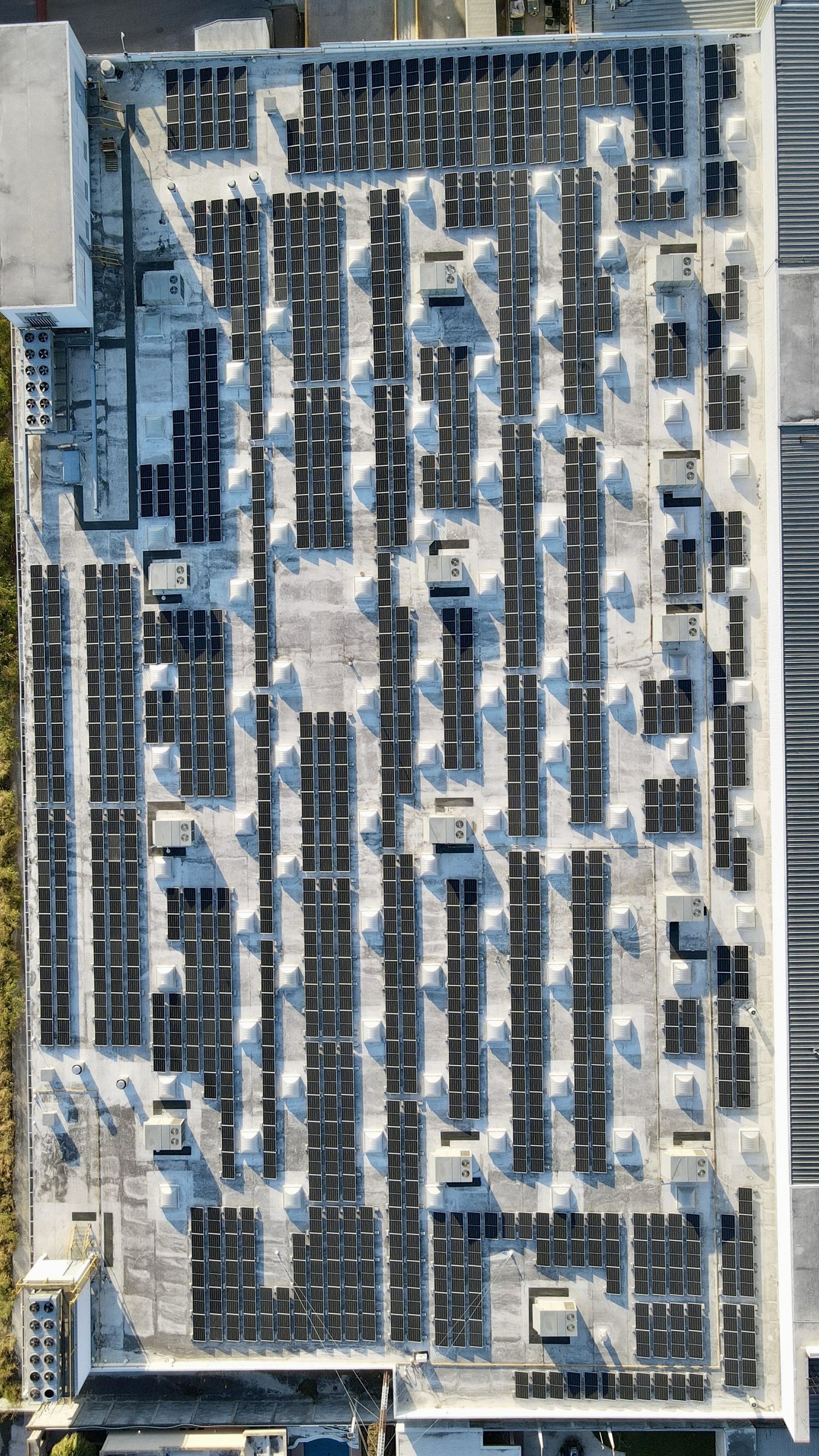 Paneles solares comercial ECOS